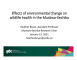 January, 2021 (Video Meeting) - UNBC Presentation Effect of Environmental Change on Wildlife Health in the MKMA